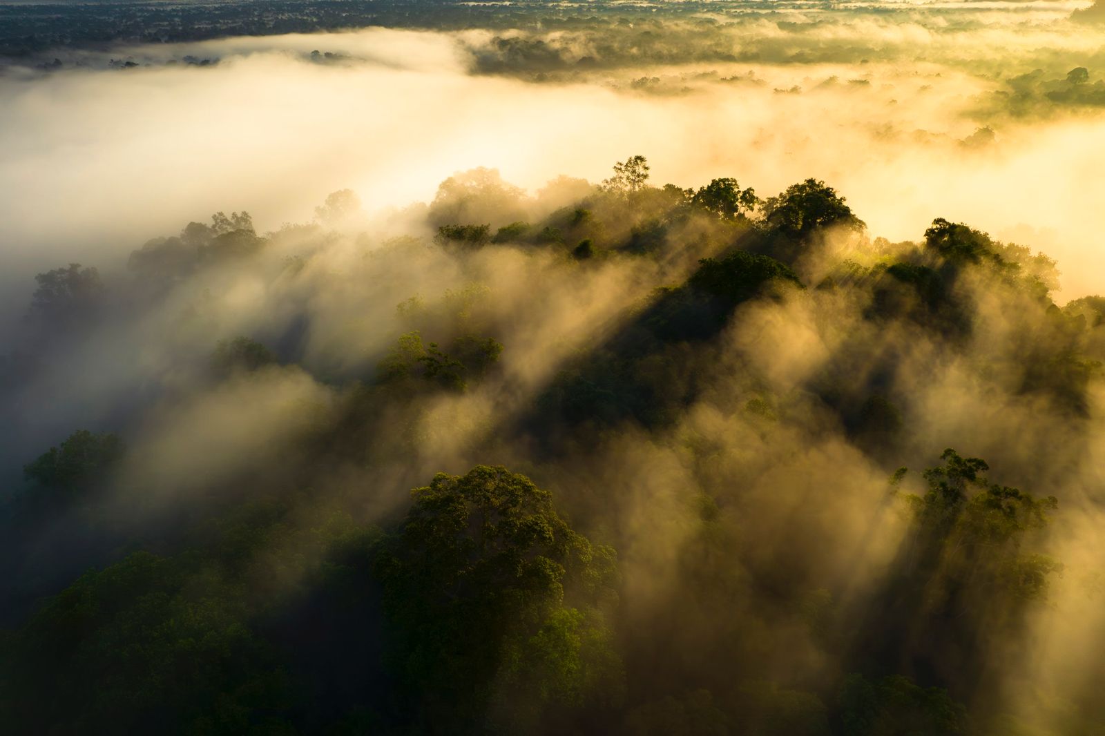 Brunei set to ratify ASEAN Climate Change Centre agreement