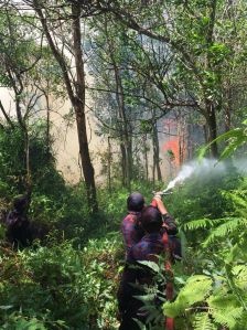 A firefighter battles a blaze in hilly terrain during a spate of forest fires that raged across Brunei-Muara from March 15 -18, 2019. Photo: Courtesy of Fire and Rescue Department